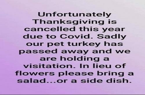 122127800_978205125994499_5152612712089582889_n