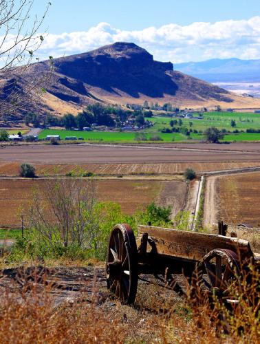 View of Snake River bottom land R