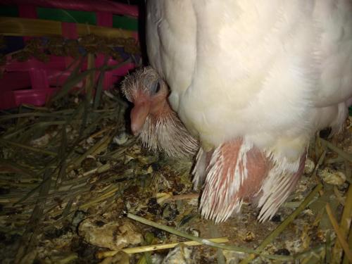 18:19:27 GMT-0500 (CDT)