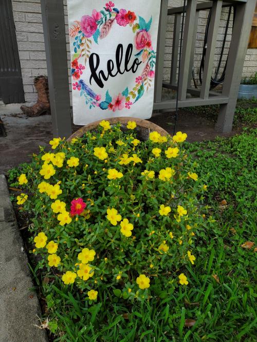 inbound7312306945347097669