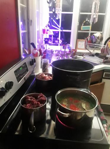 49449249_10205252367264660_4115956997587730432_o_10205252367184658