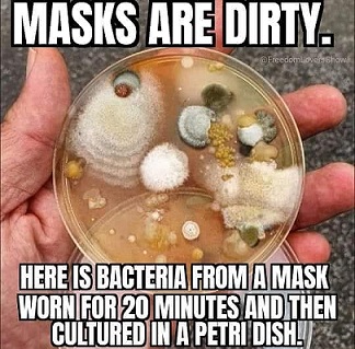 119946071_10207974894127521_3230443828916331964_n