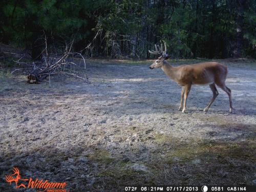 993345_10201668874062226_2125153640_n_10201668874062226