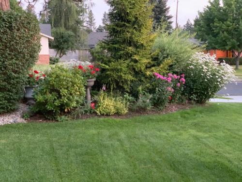 022b5124-293c-4352-9238-0ac9c6183d1e