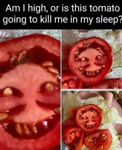 14:32:01 GMT-0500 (CDT)