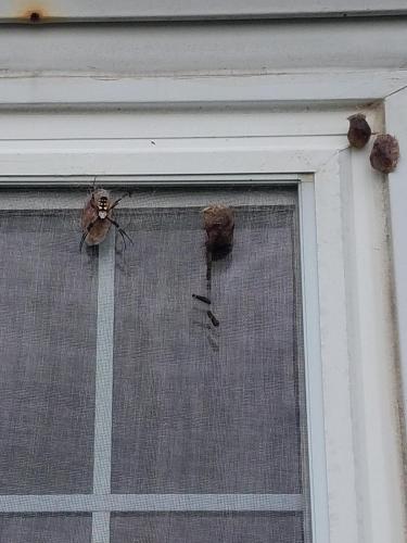 15:06:35 GMT-0500 (CDT)