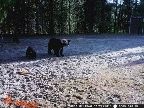 1185170_10201794155754190_314454200_n_10201794155754190