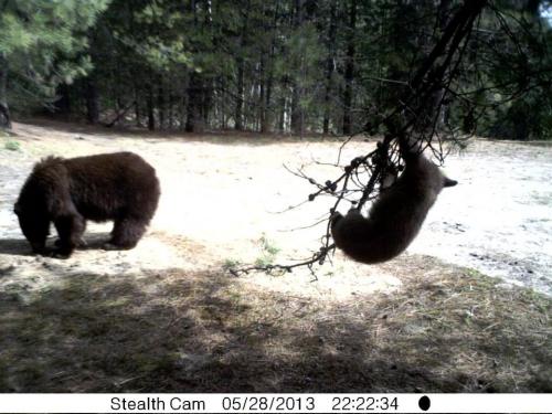 1016940_10201513531218752_937649471_n_10201513531218752