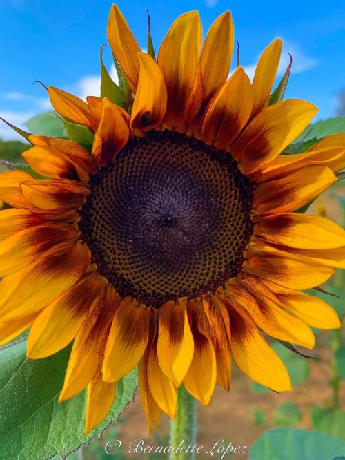 B2F0C7BE-643D-422D-85B6-A86436B50CAC