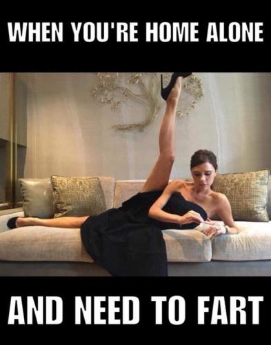 121970011_116811000202937_4746106498216273360_n