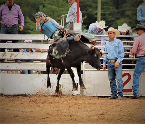 06:43:18 GMT-0400 (EDT)