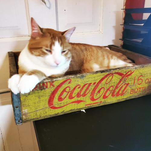 07:02:27 GMT-0500 (CDT)