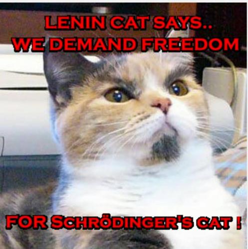 14124430_10201950359956541_3136083189307277108_o_10201950359956541