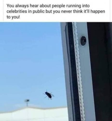 23:44:51 GMT-0600 (MDT)