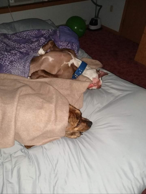 inbound7645641962481370156