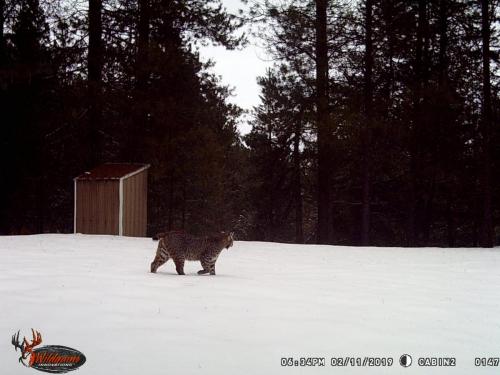 57438124_10218905925337735_8554351466557472768_o_10218905925257733