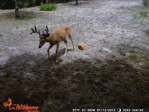 12077_10201668858861846_1283174963_n_10201668858861846