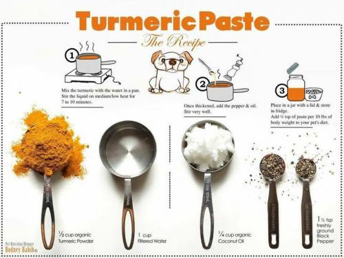 20293169_10203382684403757_1017852911801680806_n_10203382684403757