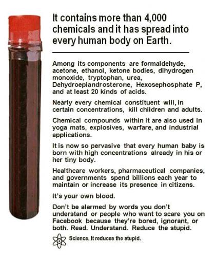 16807640_1413600228670666_8425648050687795309_n