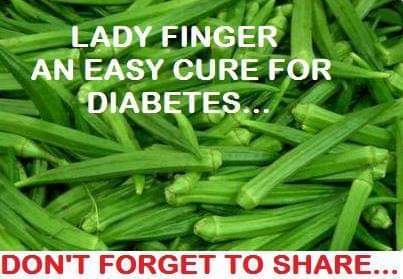 FB_IMG_1543876435827