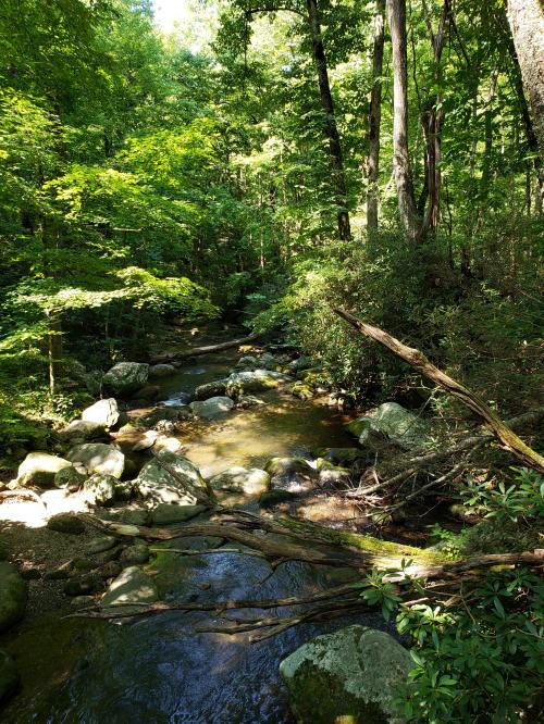 inbound7206392069991851972