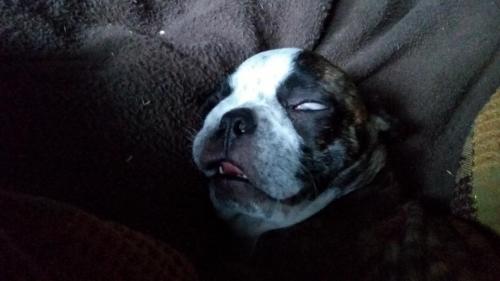 07:14:22 GMT-0500 (CDT)