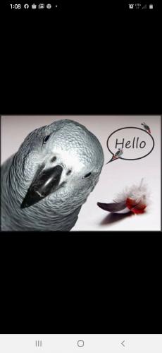 02:28:59 GMT-0400 (EDT)