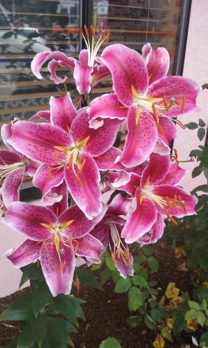 17:21:25 GMT-0700 (PDT)