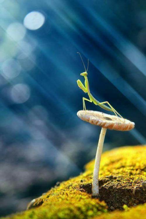 26814714_1855257527845982_5710390409778339584_n