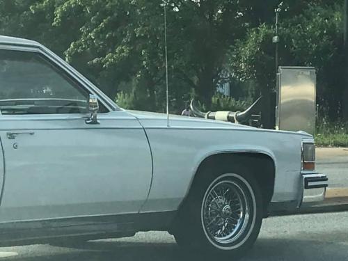 117877152_2678487605802151_1815612608855109282_n_2678487602468818