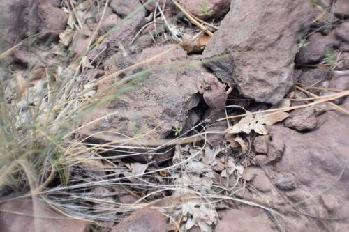 13:53:56 GMT-0700 (MST)