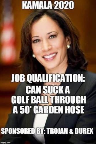 Kamala 2020