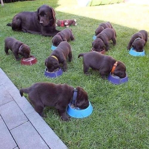 14:30:36 GMT+0100 (WAT)