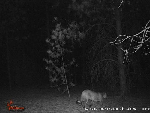 47021755_10217827185609916_410286844123545600_o_10217827185489913