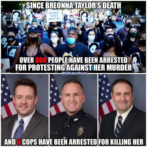 122962430_387627599233630_2112827752561316027_o