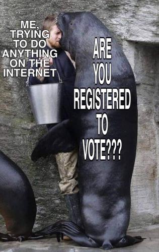 Voting bullshit