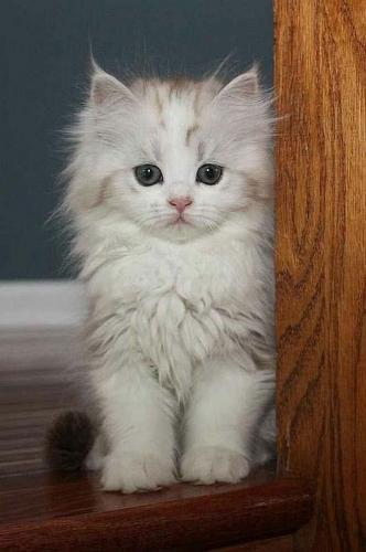 09:53:30 GMT-0500 (CDT)