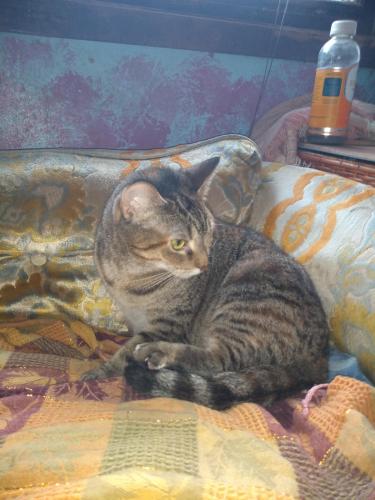 12:32:24 GMT-0500 (CDT)