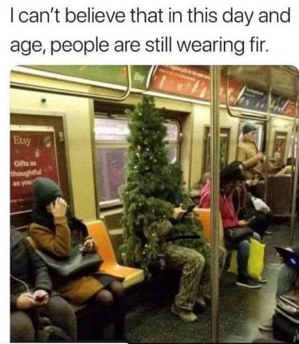 fir
