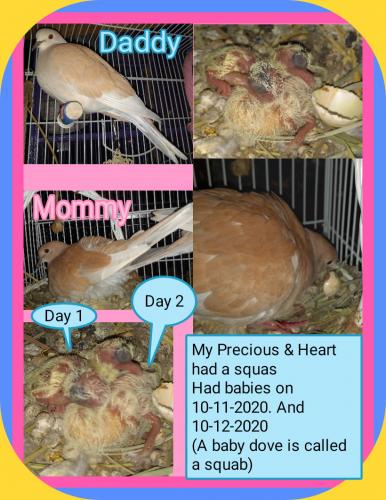 09:04:06 GMT-0500 (CDT)