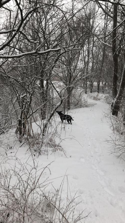 04C72E4E-EF42-4071-B3DD-BEA14DA85103