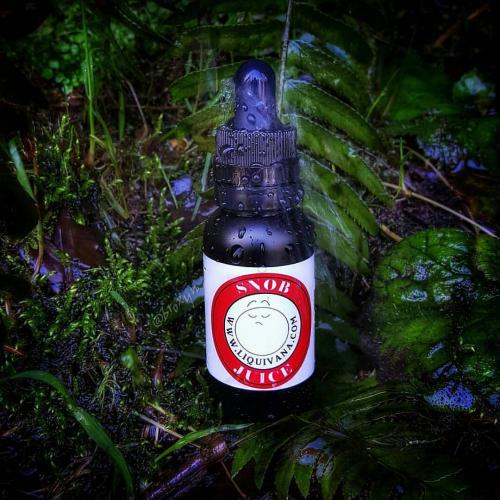 16665140_1410085822355440_2726533174208064457_o