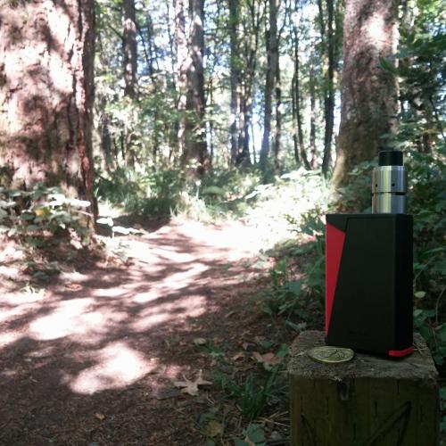 14485137_1258333184197372_5750768765948416774_n