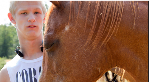 Screenshot 2020-10-14 014550