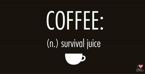 1614299_10201124779957557_2631352274285734531_o_10201124779957557