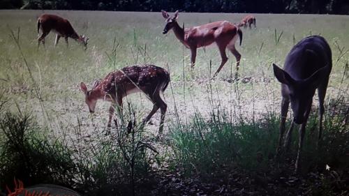 inbound4059628489921504998