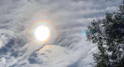 122689240_2421314264830600_5281874592074859674_o