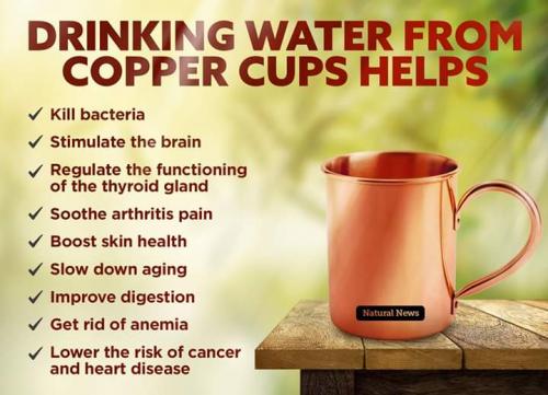 FB_IMG_1544191394022