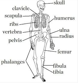 06:28:18 GMT-0500 (CDT)