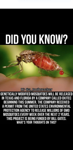 21:38:25 GMT-0400 (EDT)